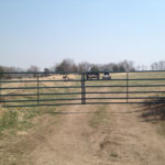 Farm Fencing and Gates