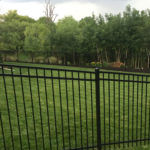 Steel Fencing